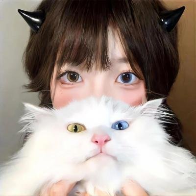 女婿回乡全村风光