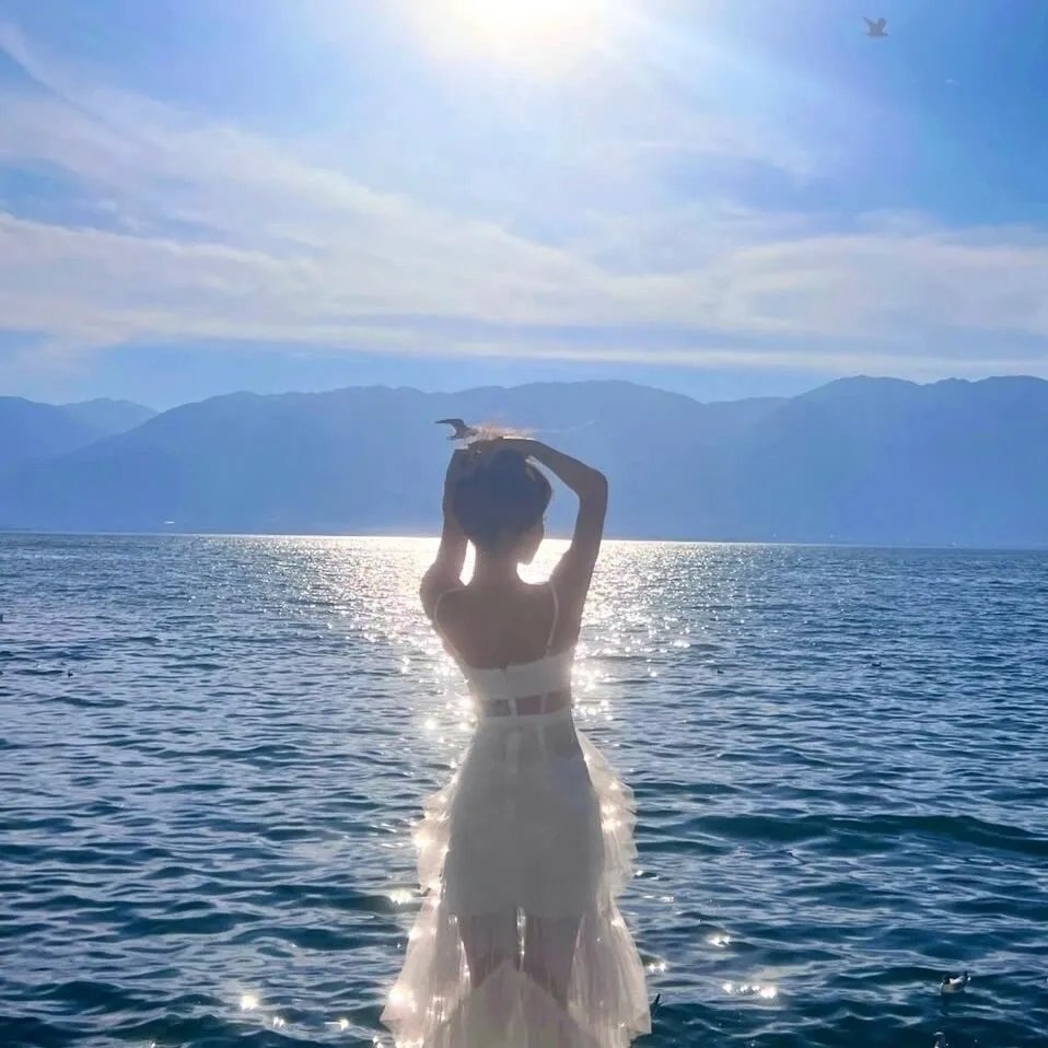 我的姐姐是大帅